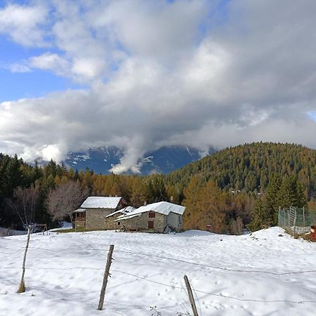 Casa Aprica Piste Da Sci Baradello Lejlighed Eksteriør billede